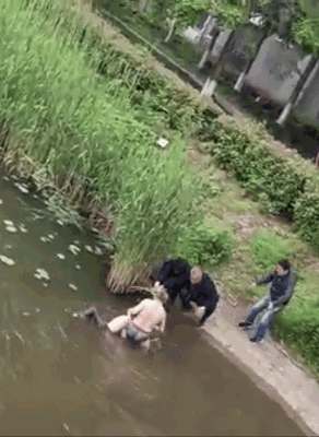 微信图片_20230509091613