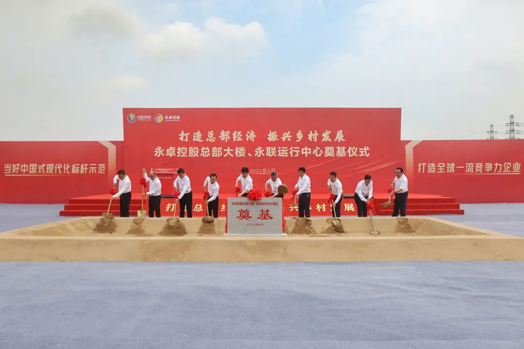 图片4