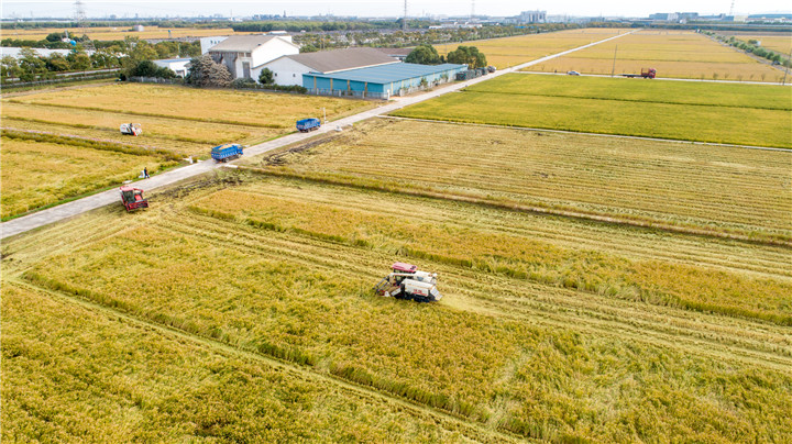 DJI_0022_副本